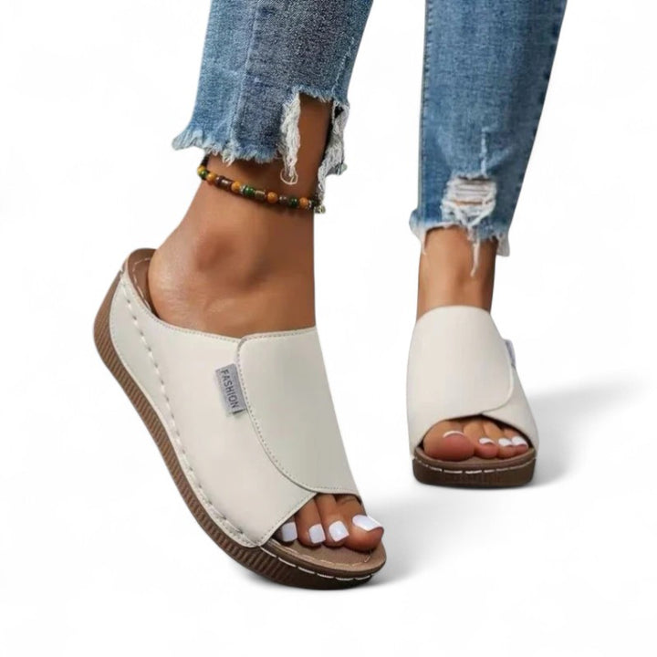 Ayla Platform Slides