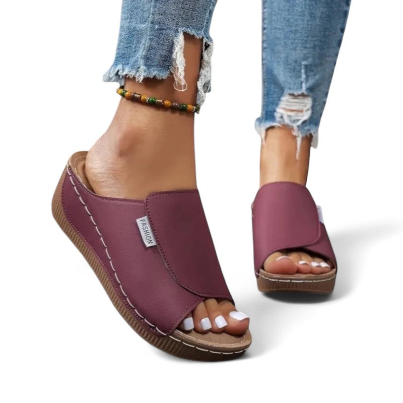 Ayla Platform Slides