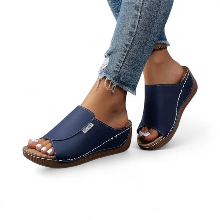 Ayla Platform Slides