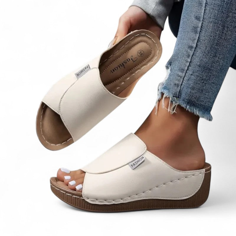 Ayla Platform Slides