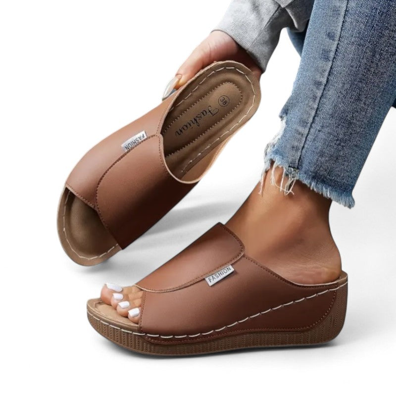 Ayla Platform Slides