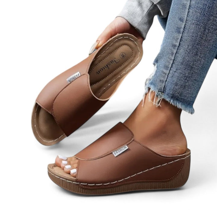 Ayla Platform Slides