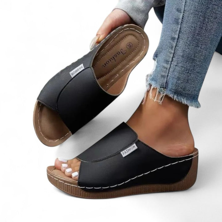 Ayla Platform Slides