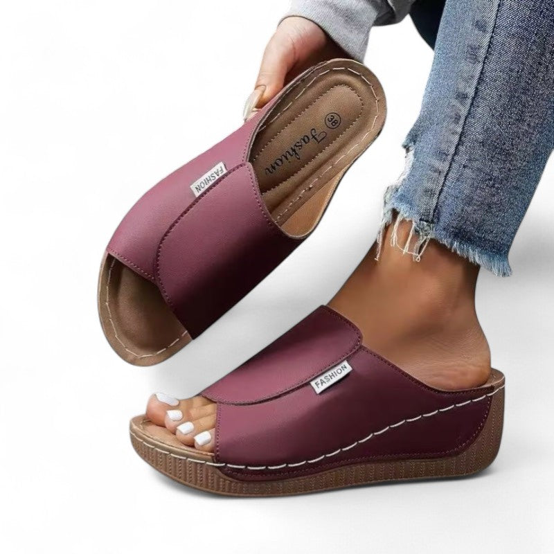 Ayla Platform Slides