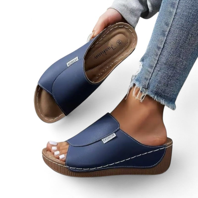 Ayla Platform Slides