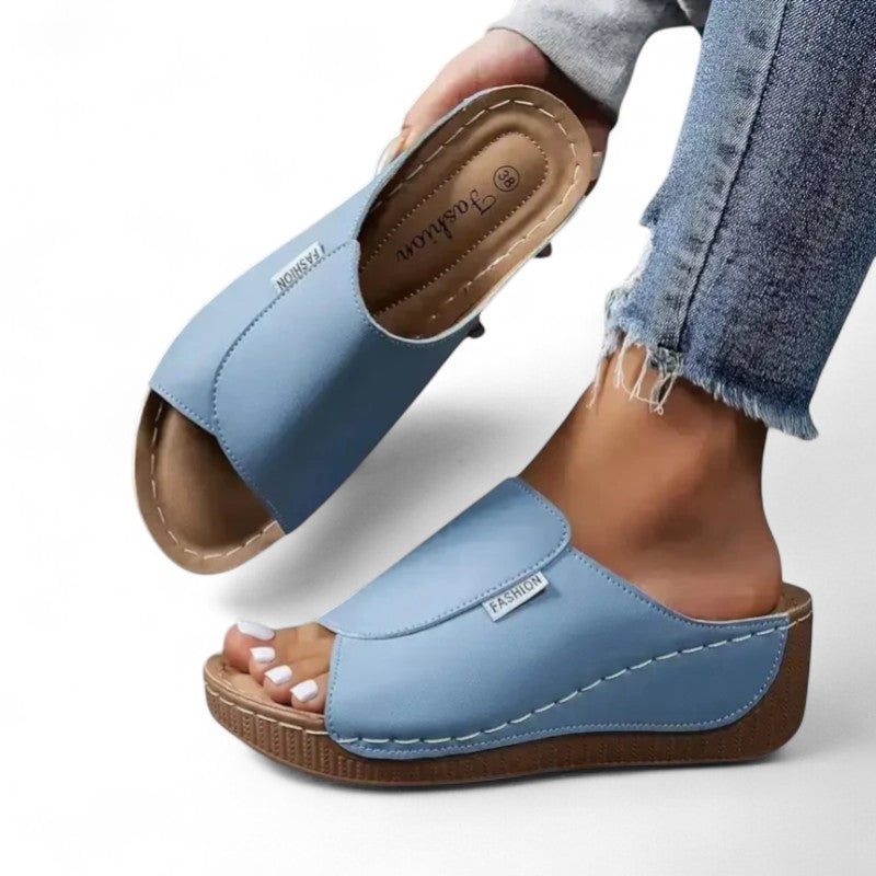 Ayla Platform Slides